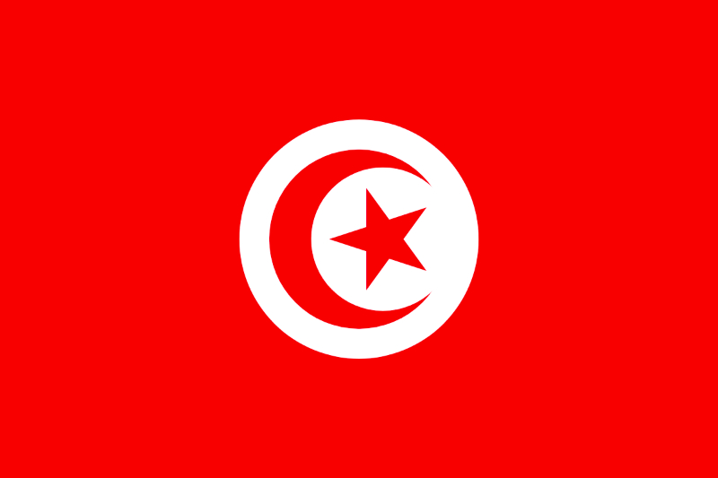 Bandera Túnez