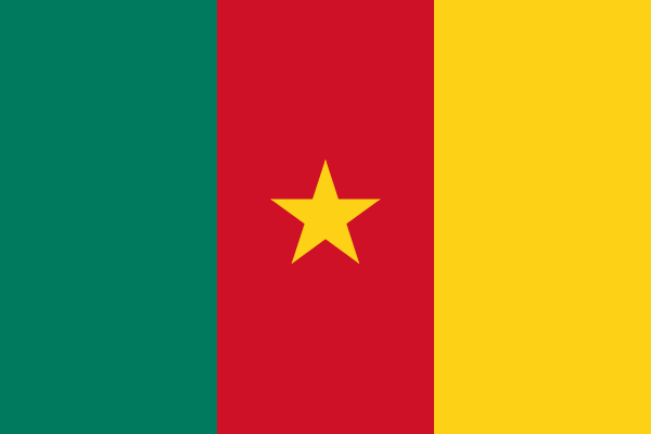 Bandera Camerún