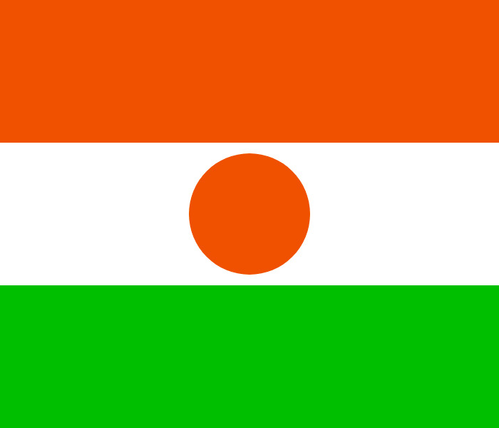 Bandera Níger