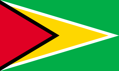 Bandera Guyana